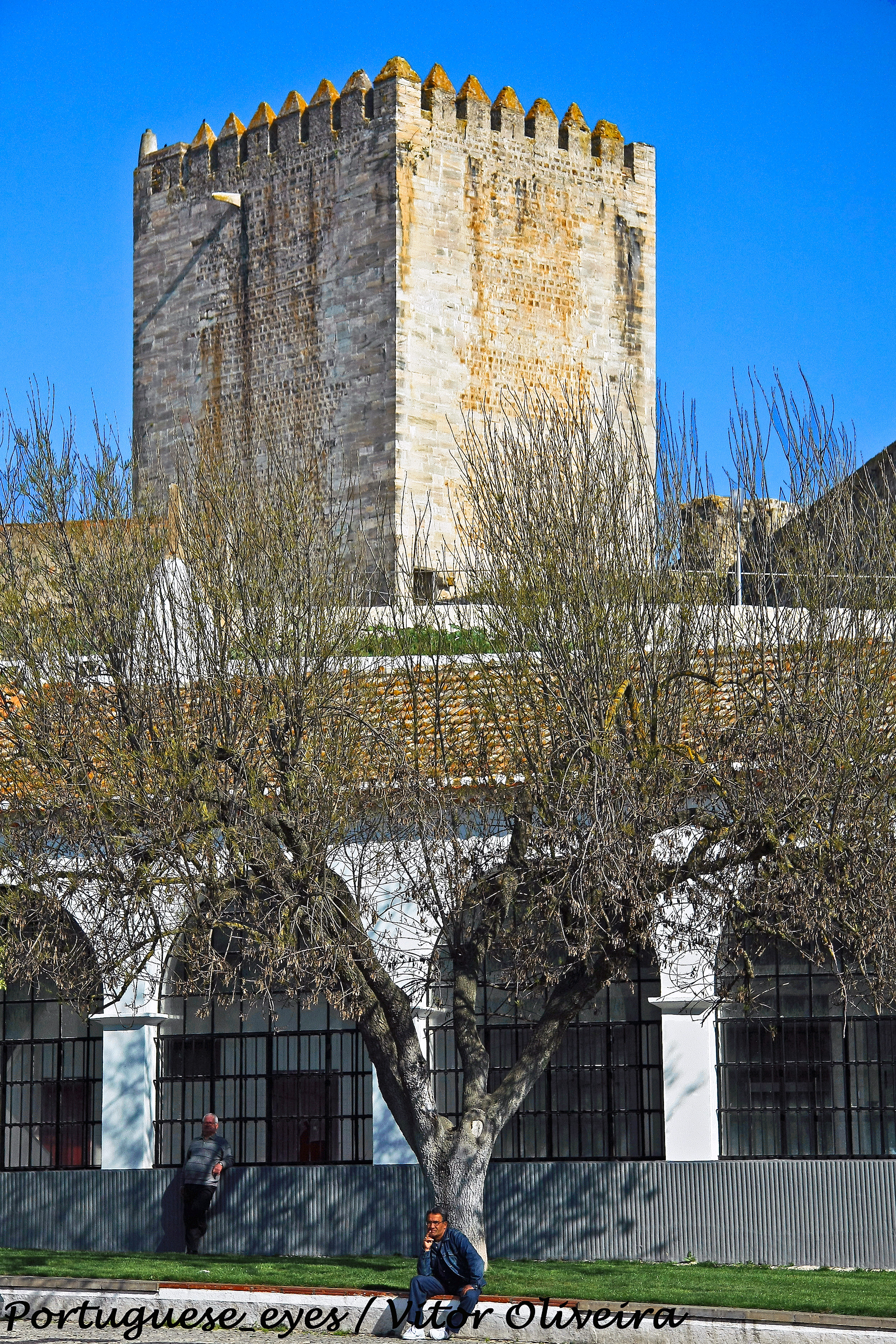 Vista de Castelo de Moura